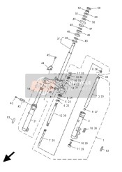 Forcella anteriore